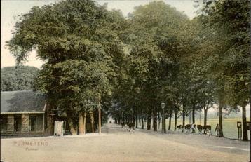 Purmerend Purmer met koeien st 1907 beschikbaar voor biedingen