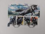 177 Motief, Dier, Dieren, Wolf, Wolven, Ophalen of Verzenden, Dier of Natuur