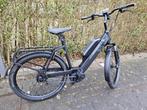 Riese & Müller Nevo GT ebike met rohloff en dubbele accu, Ophalen of Verzenden