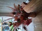 Boeket droogbloemen met vaas, Ophalen, Gebruikt