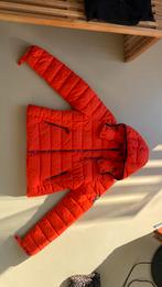 Jas Superdry zgan maat M /38 oranje ski jack wintersport, Ophalen of Verzenden, Zo goed als nieuw, Maat 38/40 (M), Jack