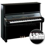 AANBIEDING - Zelfspelende piano's en vleugels  + gratis iPad, Verzenden, Zwart, Nieuw, Piano
