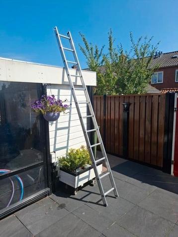 12 spotsladder met d vorm spotten beschikbaar voor biedingen
