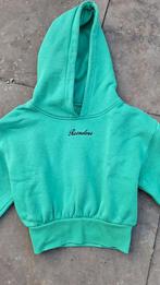 Groene hoody maat 16 reinders ZGAN, Reinders, Meisje, Trui of Vest, Ophalen of Verzenden