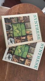 Synthese - Zuid-Limburg (boek), Ophalen of Verzenden, Zo goed als nieuw