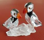 Swarovski Papegaaiduikers, Verzamelen, Ophalen of Verzenden, Zo goed als nieuw