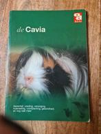 Cavia's, Ophalen, Gelezen