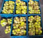 756 tennis ballen ! Van diverse merken, Ophalen, Gebruikt, Ballen, Overige merken