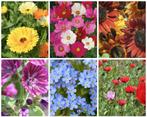 Biologische Bloemenmix (7000 zaden) - bijen- en vlindertuin, Tuin en Terras, Verzenden, Voorjaar, Volle zon, Zaad