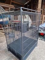 Papegaaikooi, Dieren en Toebehoren, Vogels | Hokken en Kooien, Ophalen of Verzenden, Zo goed als nieuw, Hout