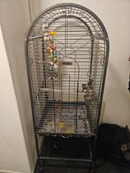 Papagaai kooi, Ophalen of Verzenden, Metaal, Vogelkooi