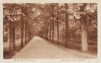 AK Wassenaar - Oprijlaan huize Duinrell, Verzamelen, Ansichtkaarten | Nederland, Verzenden, 1920 tot 1940, Ongelopen, Zuid-Holland