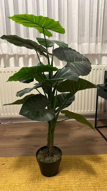 Kunstplant - ca. 1 meter hoog beschikbaar voor biedingen