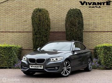 BMW 2-serie Coupé 228i M Sport Pano*Cruise*Clima*Stoel.Vrw* beschikbaar voor biedingen