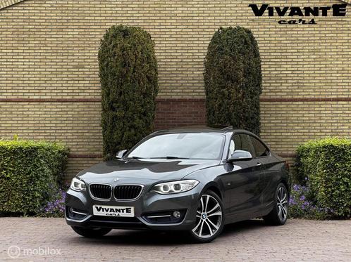BMW 2-serie Coupé 228i M Sport Pano*Cruise*Clima*Stoel.Vrw*, Auto's, BMW, Bedrijf, Te koop, 2-Serie, ABS, Airbags, Airconditioning