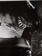 Originele Godzilla Foto, Verzenden, ., Zo goed als nieuw, Foto of Kaart