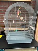 Gebruikte vogelkooi!, Dieren en Toebehoren, Ophalen of Verzenden, Gebruikt, Metaal, Vogelkooi