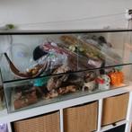Terrarium voor dwerghamster met inrichting, Gebruikt, 75 tot 110 cm, Ophalen, Minder dan 60 cm