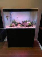Ciano emotions one 100 aquarium - 209L, Dieren en Toebehoren, Vissen | Aquaria en Toebehoren, Ophalen, Gebruikt, Leeg aquarium