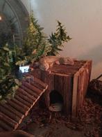 Luipaard gekko's + terrarium, Dieren en Toebehoren, Hagedis, Met terrarium, 0 tot 2 jaar