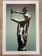 Dieter Blum ballet naaktfoto 30 x 48 cm (art print), A1 t/m A3, Zo goed als nieuw, Rechthoekig Staand, Verzenden