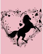 Paarden stalling gezocht., Dieren en Toebehoren, Stalling en Weidegang, Stalling