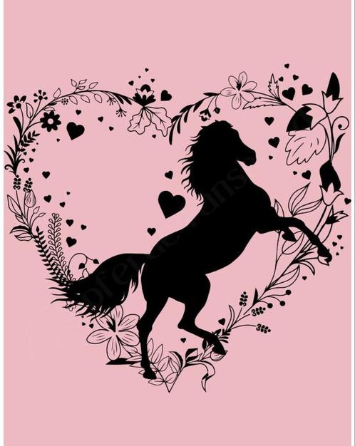 Paarden stalling gezocht., Dieren en Toebehoren, Stalling en Weidegang, Stalling