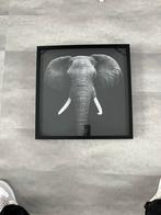 Olifant Schilderij, Antiek en Kunst, Ophalen