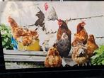 Canvasdoek kippen groot, Huis en Inrichting, Woonaccessoires | Overige, Ophalen