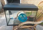 Aquarium of glazen kooi / hok, Dieren en Toebehoren, Minder dan 75 cm, Zo goed als nieuw, Hok, Ophalen