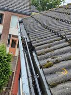 Dakgoot en Gevelreiniging, Overige vormen