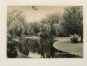 Ansichtkaart Apeldoorn prinsenpark ( 1950) beschikbaar voor biedingen