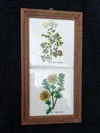 Vintage houten lijst met 2 tegels met wilde bloemen, Ophalen of Verzenden