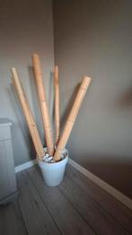 Gratis: Decoratieve bamboestokken in pot met witte stenen, Huis en Inrichting, Woonaccessoires | Kunstplanten en Kunstbloemen