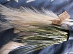 Pampasgras en decoratie, Ophalen, Nieuw