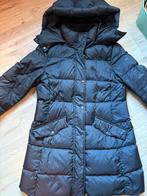 Marco polo winterjas, Kleding | Dames, Jassen | Winter, Ophalen of Verzenden, Zo goed als nieuw, Maat 38/40 (M), Blauw