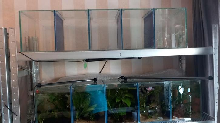 2 mooie kweekbakken ,2x rij van 5, Dieren en Toebehoren, Vissen | Aquaria en Toebehoren, Zo goed als nieuw, Leeg aquarium, Ophalen of Verzenden