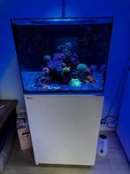 Red sea reefer 170 compleet, zonder levende haven!, Dieren en Toebehoren, Ophalen, Gebruikt, Leeg aquarium