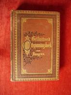 geíllustreerd uitspanningsboek voor jongens  1876, Antiek en Kunst, Ophalen of Verzenden, Zie beschrijving