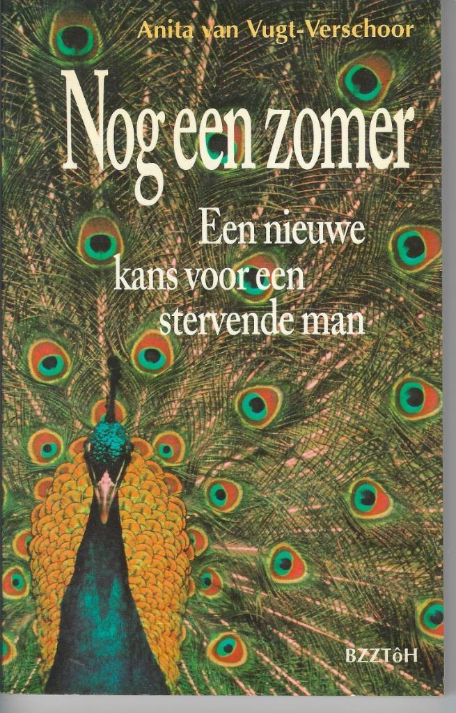 Nog een zomer - Anita van Vugt - Verschoor, Boeken, Overige Boeken, Zo goed als nieuw, Ophalen of Verzenden