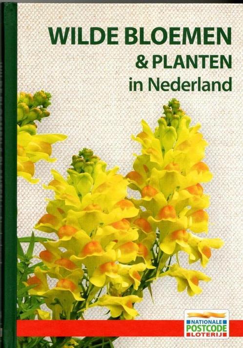 Wilde bloemen en planten in Nederland, Boeken, Natuur, Nieuw, Bloemen, Planten en Bomen, Ophalen of Verzenden