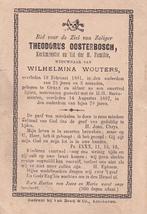 Oosterbosch Wouters Joannes 1896 Oerle 1915 Tegelen priester, Ophalen of Verzenden, Bidprentje