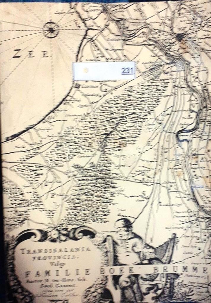 Familie Boek Brumme - Transisalaniana Provincia, Boeken, Taal | Frans, Gelezen, Non-fictie, Ophalen