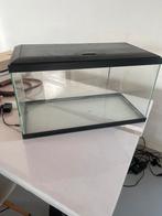 Aquarium 60x30x30, Ophalen, Leeg aquarium