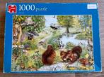 Jumbo puzzel 1000 stukjes eekhoorntjes, Ophalen, 500 t/m 1500 stukjes, Gebruikt, Legpuzzel