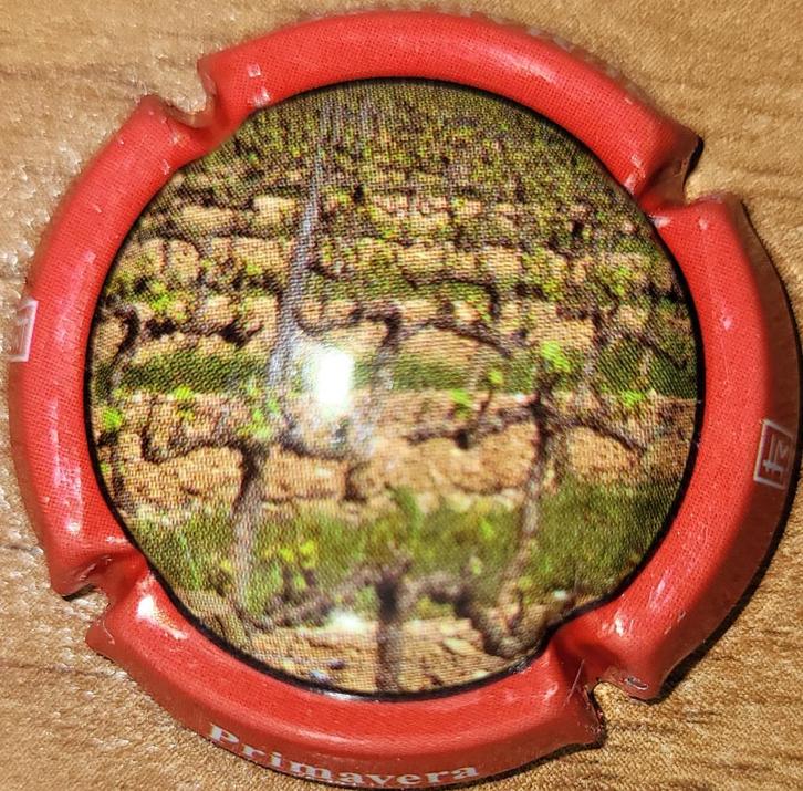 Spaanse Cavacapsule SUMARROCA polychrome & rood nr. 06, Verzamelen, Wijnen, Nieuw, Overige typen, Spanje, Ophalen of Verzenden