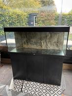 Aquarium Rio 240 met meubel, Dieren en Toebehoren, Vissen | Aquaria en Toebehoren, Ophalen, Gebruikt, Leeg aquarium