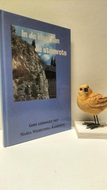 Westerbeke, Joh.; In de kloof van de steenrots (M.H.Kamphuis beschikbaar voor biedingen