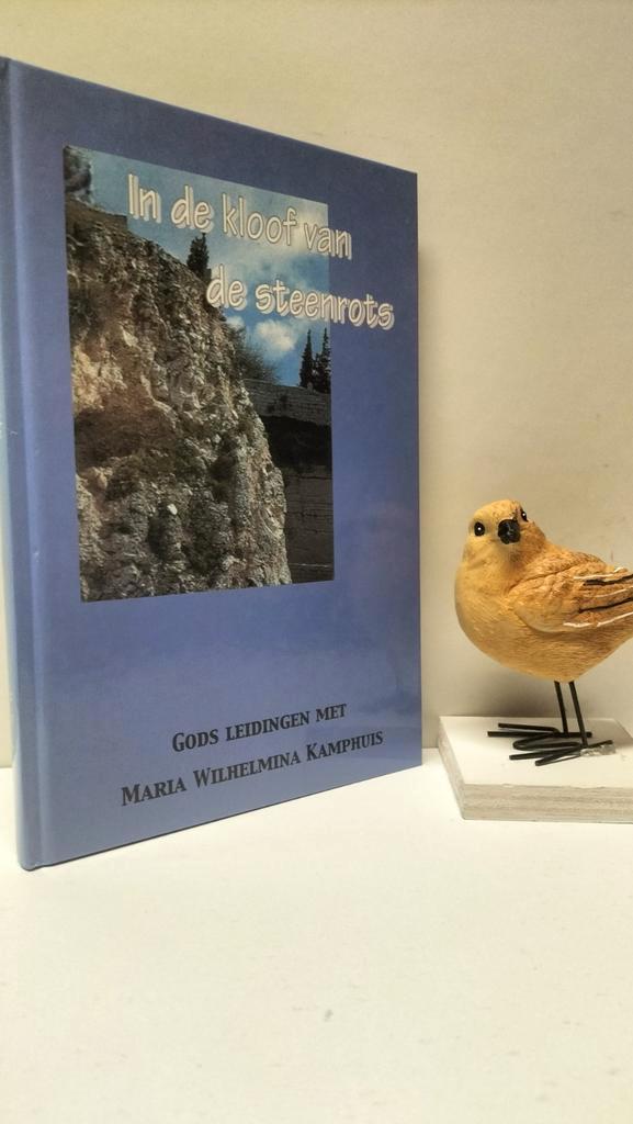 Westerbeke, Joh.; In de kloof van de steenrots (M.H.Kamphuis, Boeken, Godsdienst en Theologie, Gelezen, Christendom | Protestants