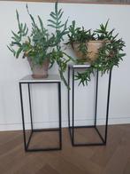 Hoge plantentafel / zuil * Marmer * 2 stuks, Ophalen, Nieuw
